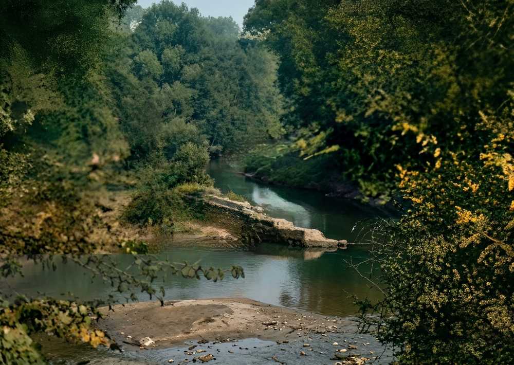 Resim 1: Meriç Nehri’nin taşması ve seddelerin sular altında kalması (Dr. Rıfat Osman’dan)