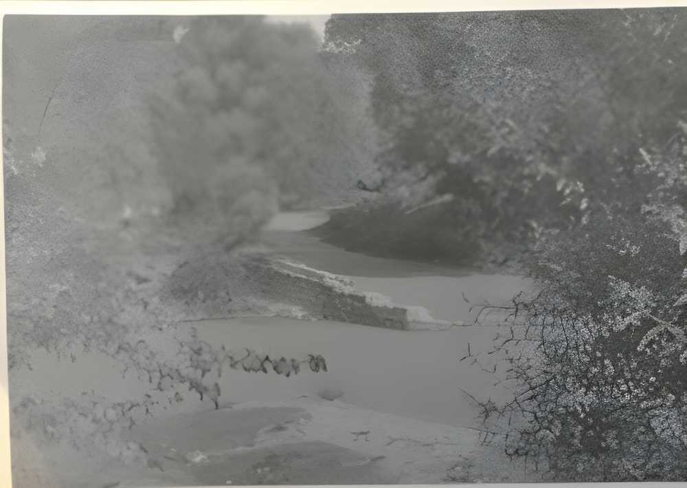 Resim 1: Meriç Nehri’nin taşması ve seddelerin sular altında kalması (Dr. Rıfat Osman’dan)